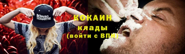 гидра Каменка