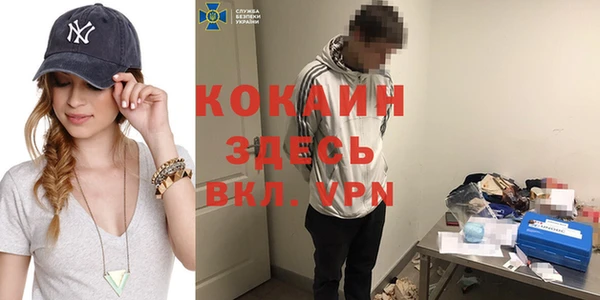 стафф Каменногорск