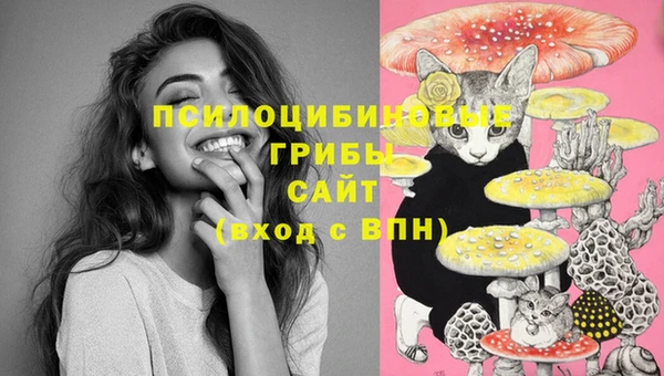 стафф Каменногорск