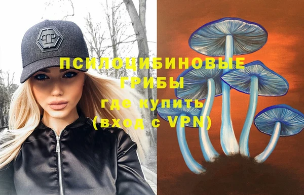 стафф Каменногорск