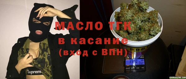 гидра Каменка