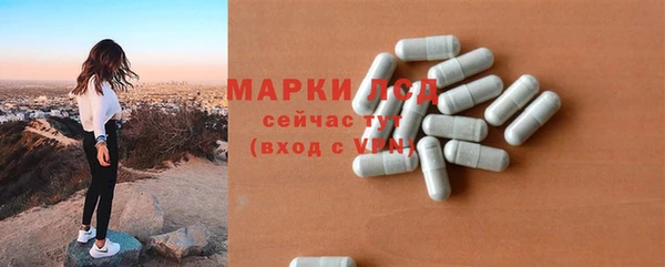гидра Каменка
