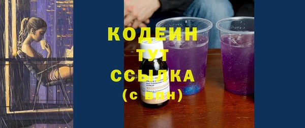 гидра Каменка