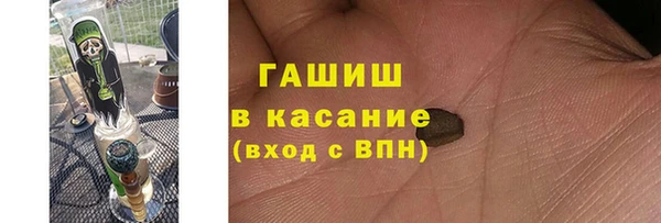 гидра Каменка