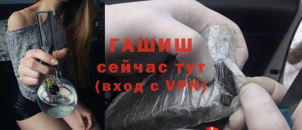 гидра Каменка