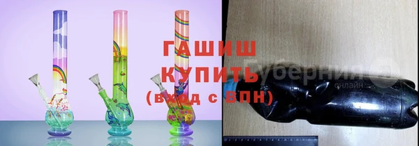 гидра Каменка