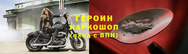 гидра Каменка