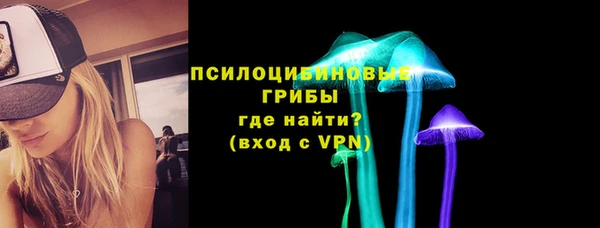 стафф Каменногорск