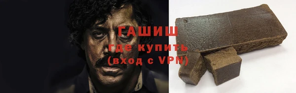 гидра Каменка