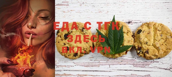 гидра Каменка