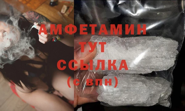 гидра Каменка
