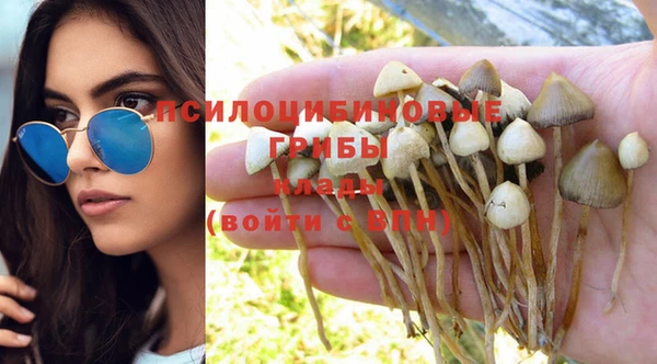 стафф Каменногорск