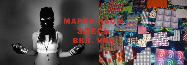 гидра Каменка