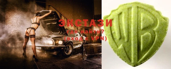 гидра Каменка