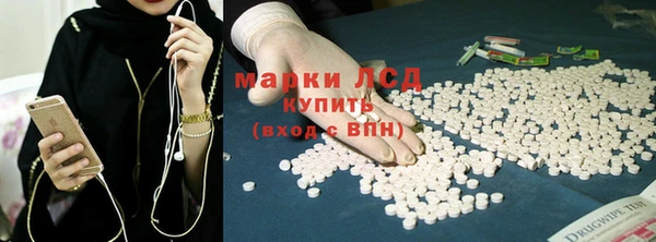 гидра Каменка