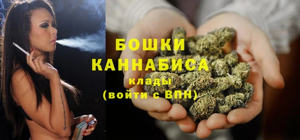 гидра Каменка