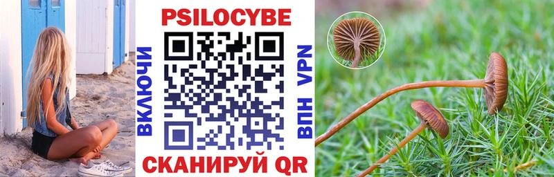 Купить  Себеж  Галлюциногенные грибы MAGIC MUSHROOMS 